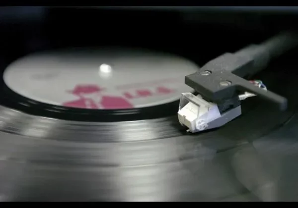 Small Business Ideas