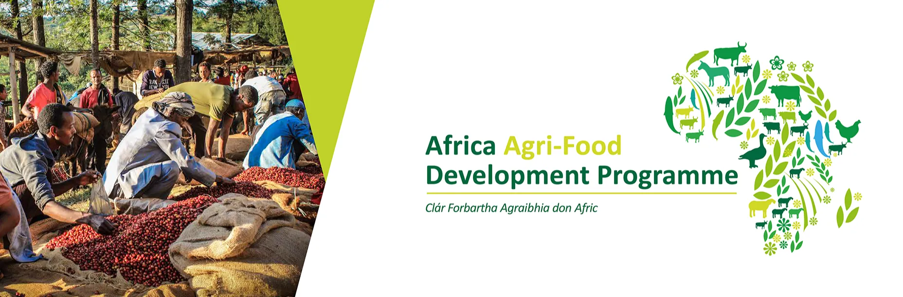 Africa Agri-Food Development Programme