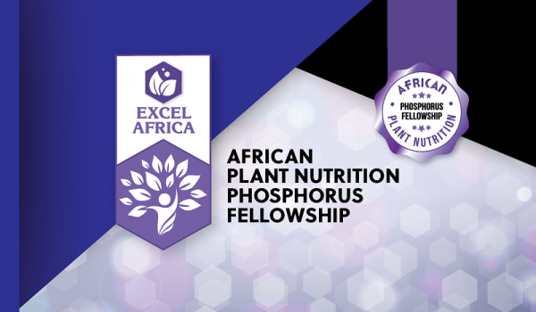 African Plant Nutrition Phosphorus