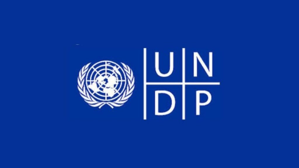 UNDP Digital Transformation Internship