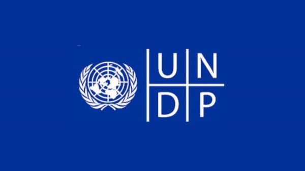 UNDP Digital Transformation Internship