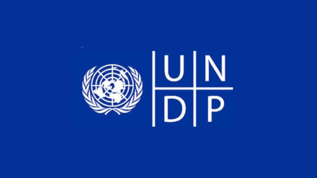 UNDP Digital Transformation Internship