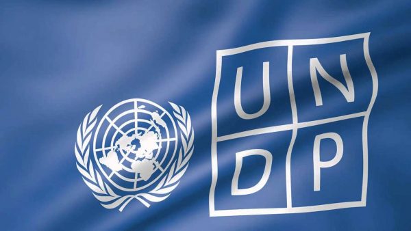 UNDP Digital Transformation Internship