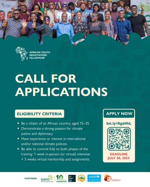 Africa Youth Negotiators Fellowship