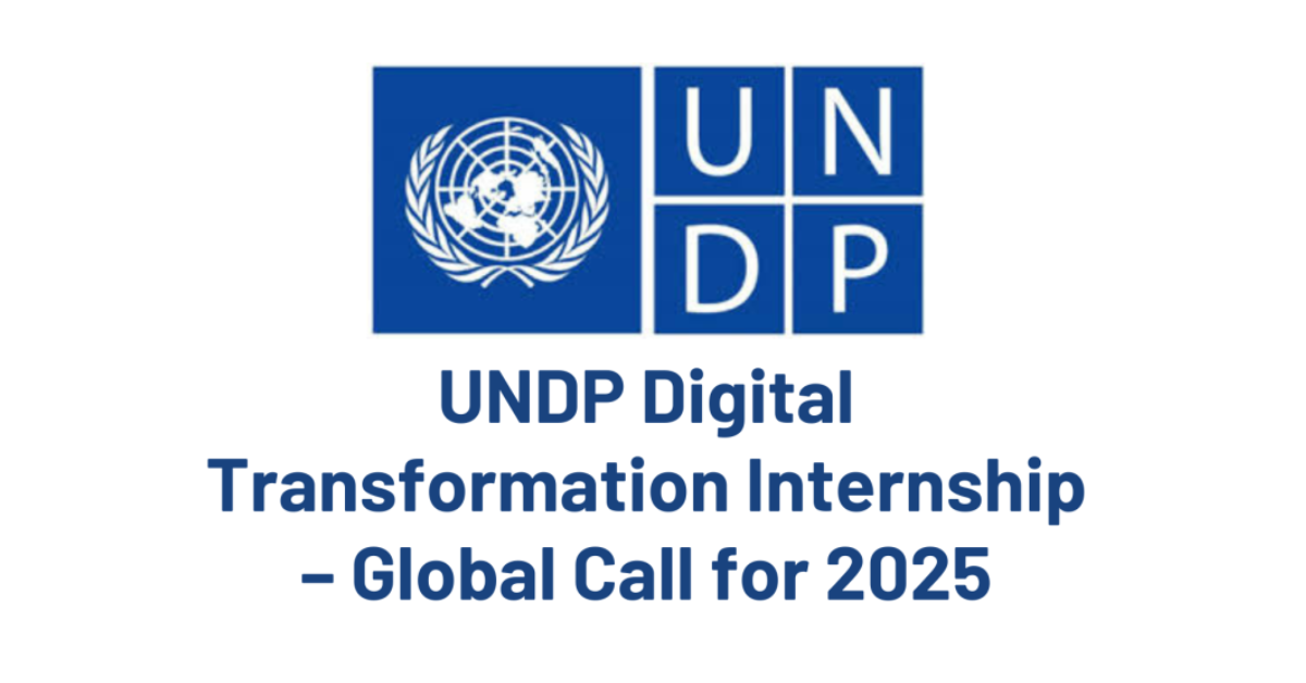 UNDP Digital Transformation Internship