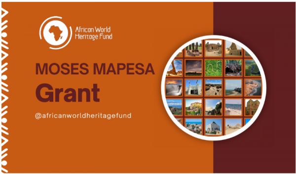AWHF Moses Mapesa Research Grant
