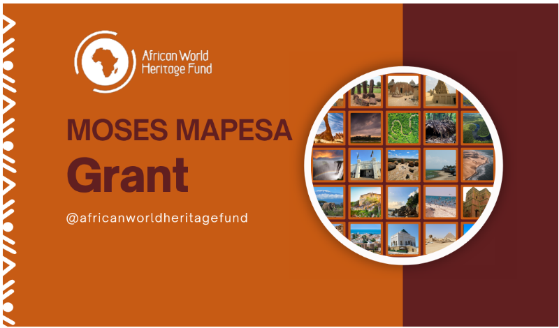 AWHF Moses Mapesa Research Grant