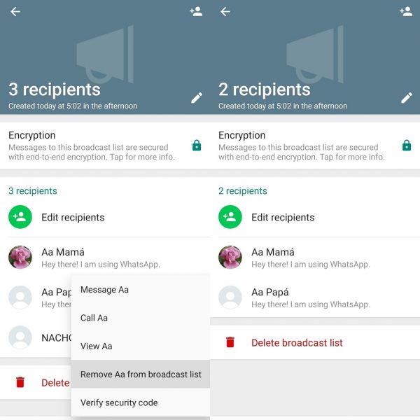 WhatsApp Broadcast Lists