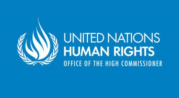 UN OHCHR Indigenous Fellowship