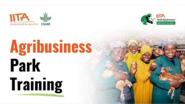 IITA Youth Agribusiness Training Program