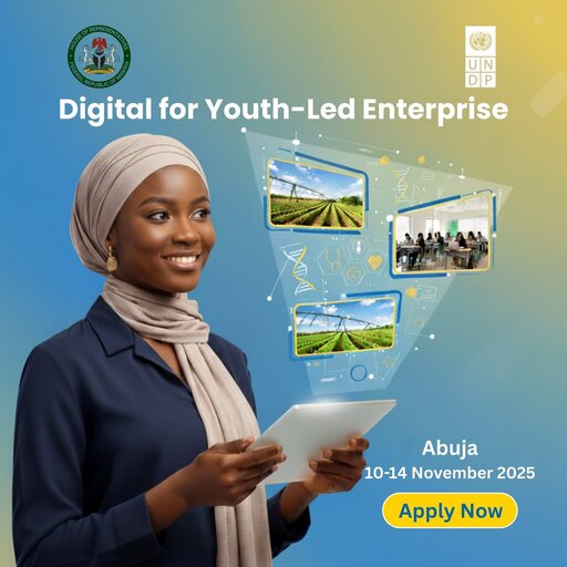 UNDP Nigeria Digital for Youth-Led Enterprise Program 2025 for Young Nigerian Innovators